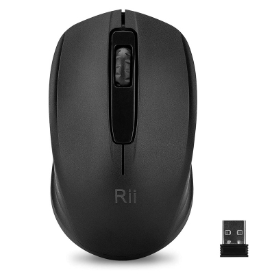 Wireless Mouse RM100+