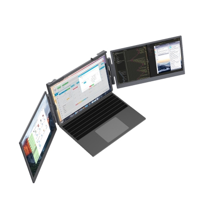 Dual Portable Monitor RS300